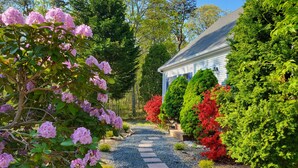 A garden pathway leading to a house with a blue exterior and a number '203' on the side. - Modern Cape, Private Heated Salt Water Pool,  Minutes to Beaches/Golf/Lakes (Brewster)