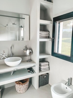 Shower, hair dryer, bidet, towels