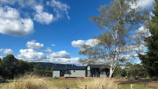 A modern house with a dark roof and light walls, surrounded by tall grass and trees. - Alpine Bach with spa and separate games room. (Ohakune)