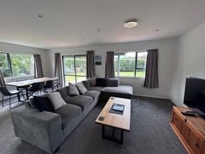 Smart TV, fireplace, video games, DVD player