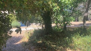 Un sentier bordé d’arbres et de feuillage, dont la surface est recouverte de gravier.