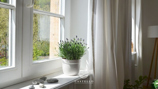 A window with a potted lavender plant, a radiator, and a lamp on a windowsill.