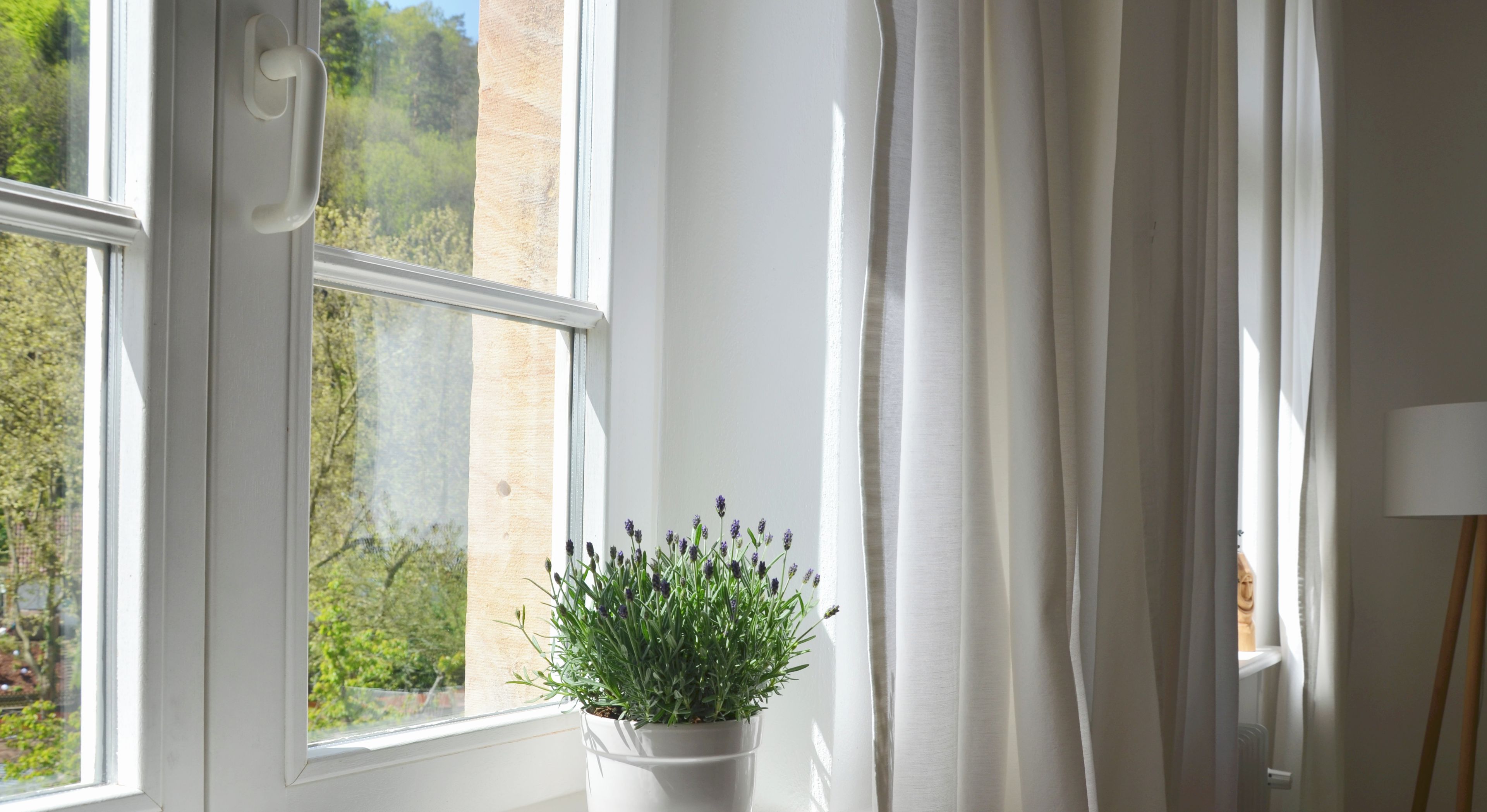 A window with a potted lavender plant, a radiator, and a lamp on a windowsill.