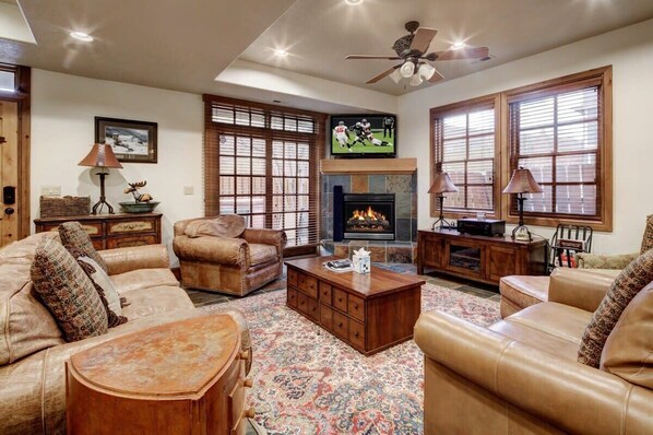 TV, fireplace, offices