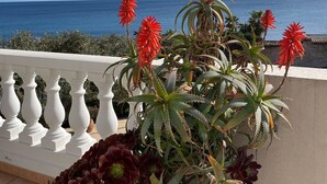 Un balcon avec vue sur la mer, agrémenté de fleurs rouges et de feuillage verdoyant.