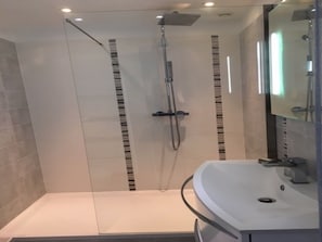 Shower, hair dryer, towels, toilet paper