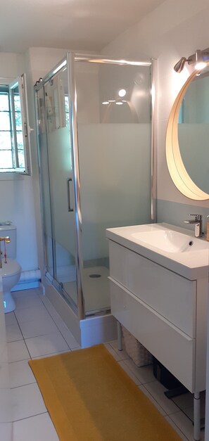 Bathtub, hair dryer, toilet paper - House in the heart of the forest with lake ocean beaches swimming pool tennis (Lacanau)