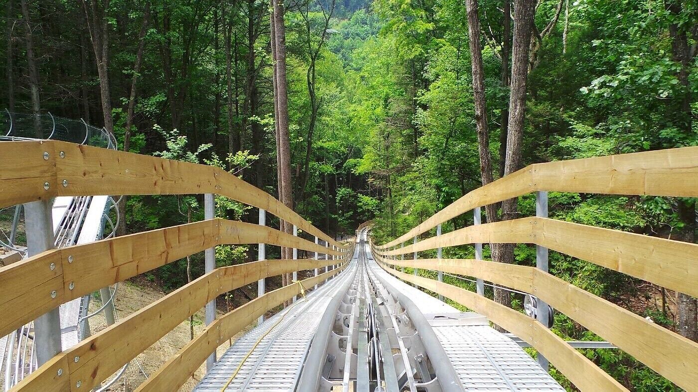 Un pont de fusta per a vianants amb baranes de metall, envoltat per un bosc dens.