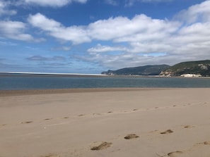Playa en los alrededores y camastros