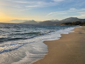 Playa en los alrededores, camastros y toallas de playa 