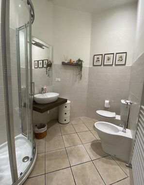 Shower, hair dryer, bidet, towels