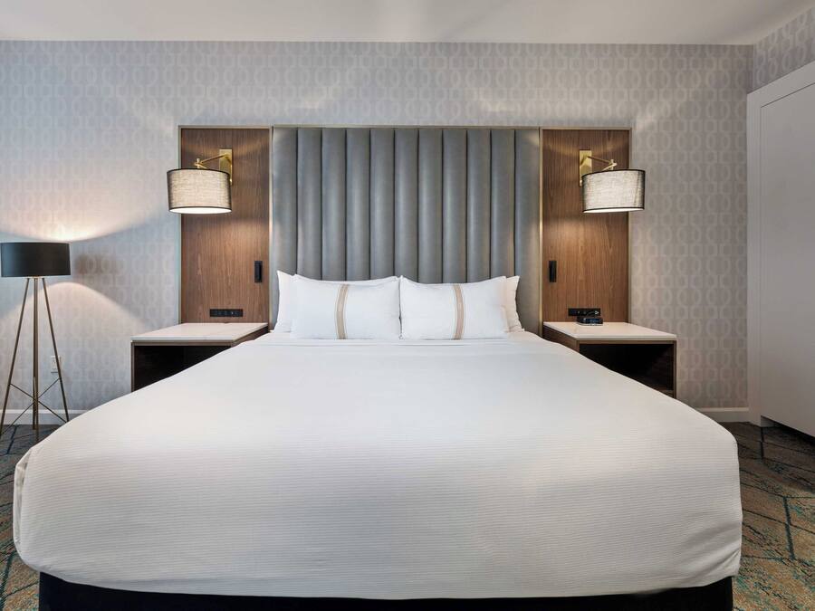 A large bed with a grey headboard, two bedside tables, two lamps, and a carpeted floor.