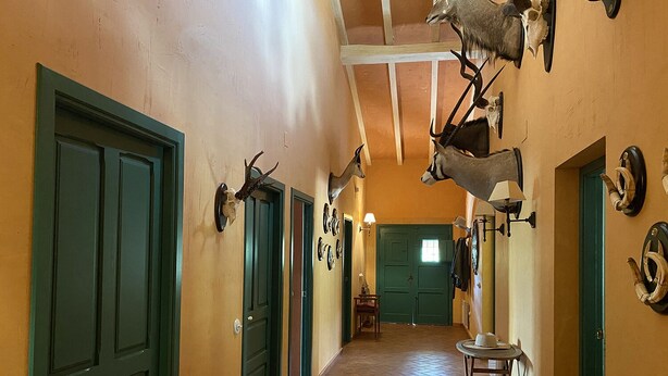 Un pasillo con puertas verdes, cráneos de animales montados y astas en las paredes.