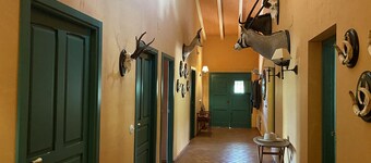 El Bauzal de Trujjillo