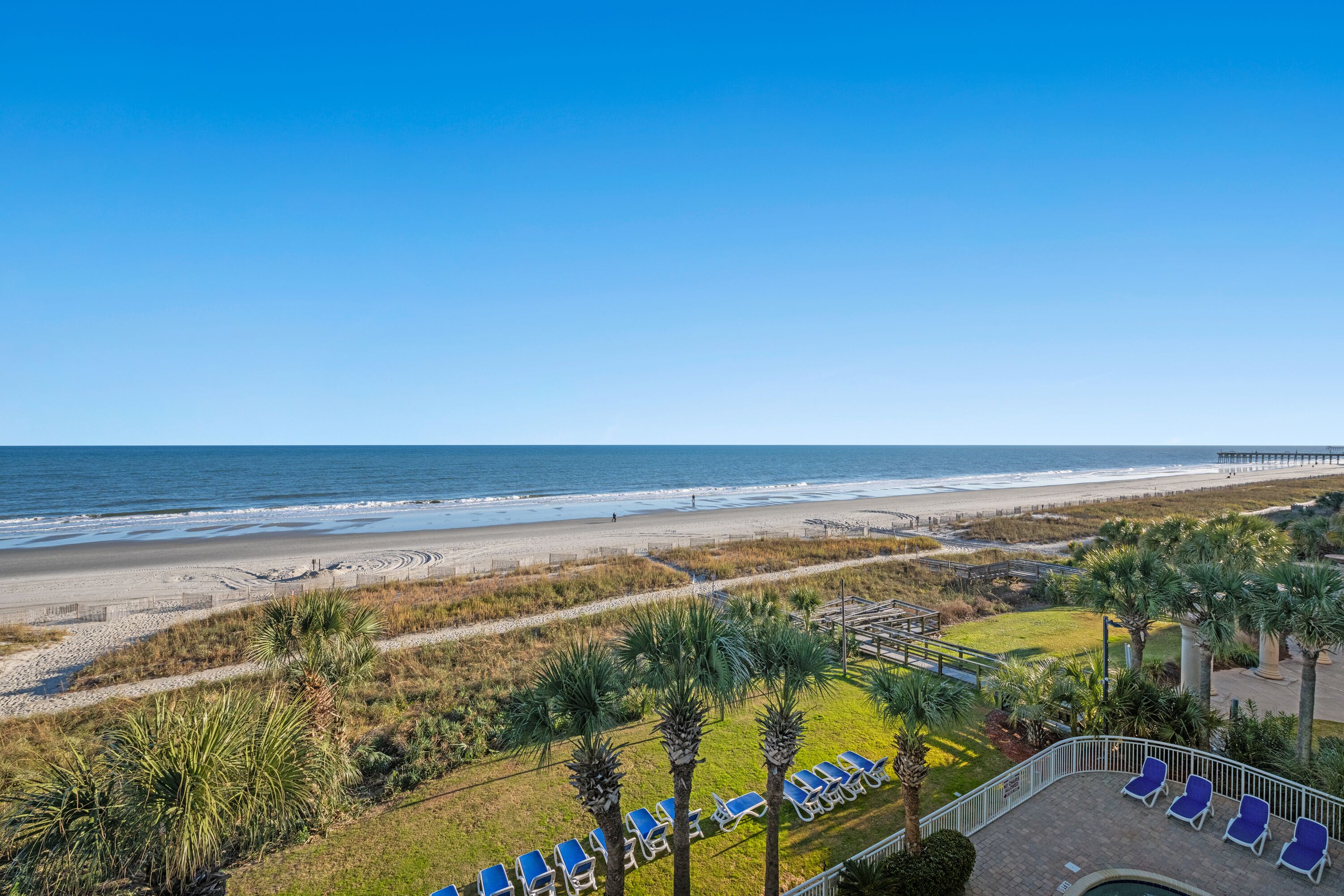 A beach view with lounge chairs and palm trees.