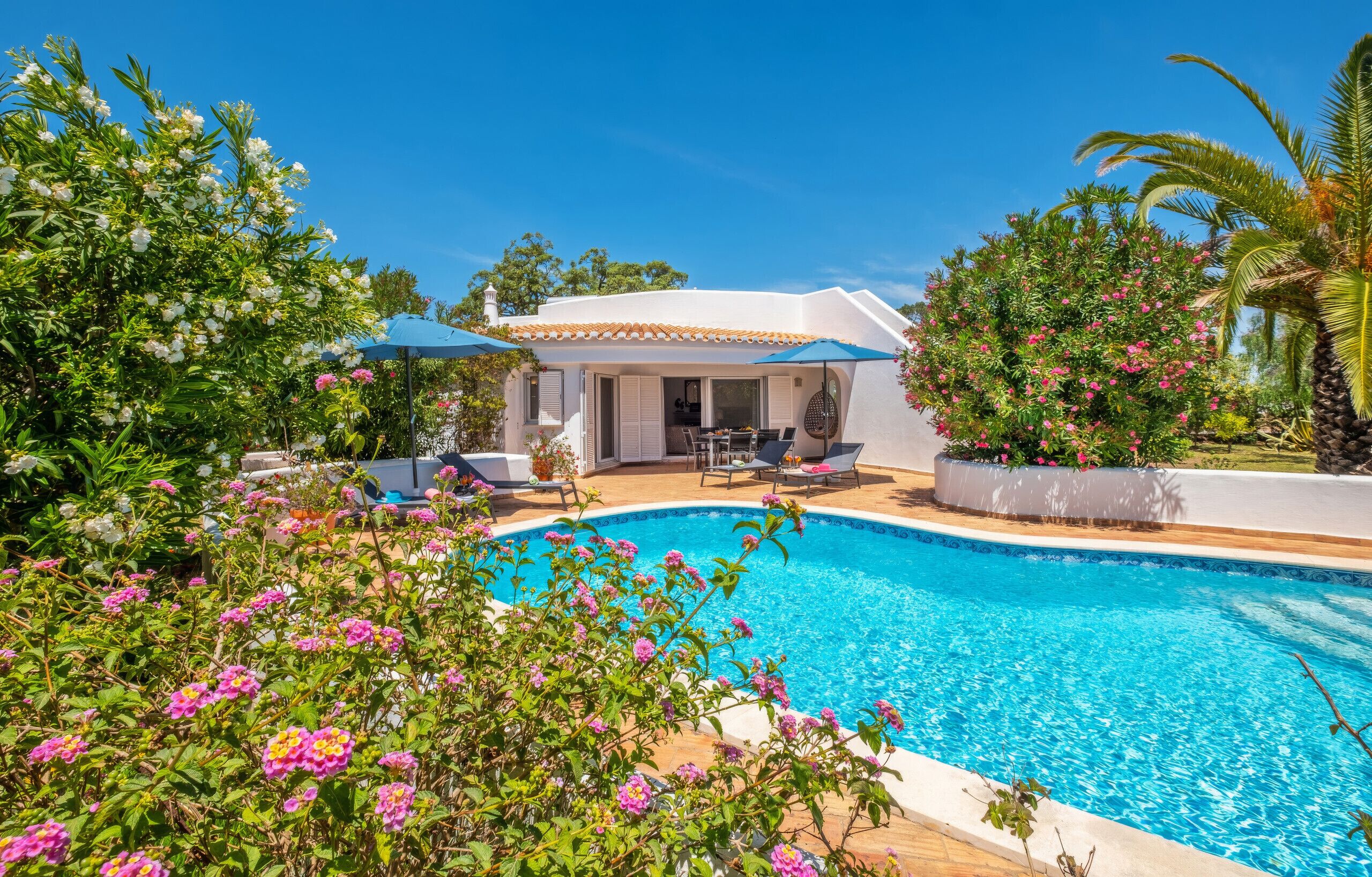 A poolside area with a covered seating area, a pool, and surrounding greenery.