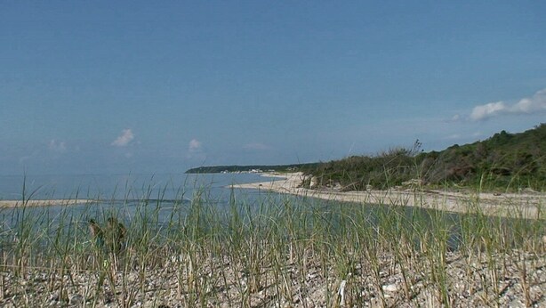 Eine Küstenlandschaft mit Strand, grasbewachsenen Dünen und blauem Himmel.