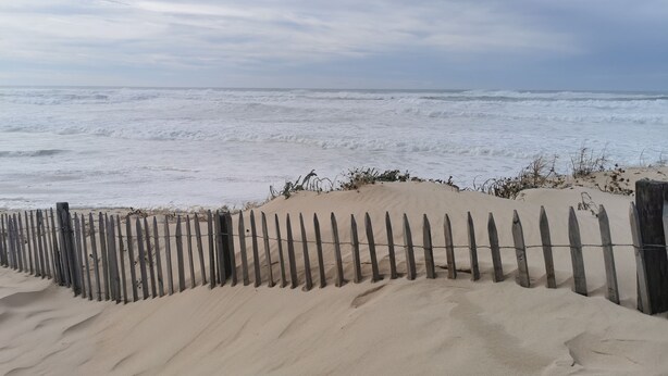 Una playa arenosa con una cerca de madera y olas del océano.