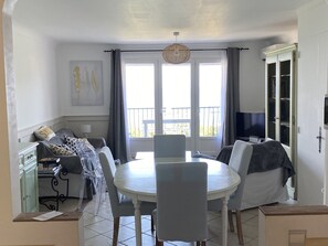 تلفزيون ذكي، مشغل دي في دي