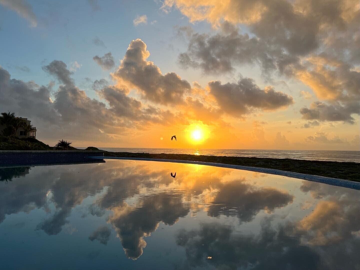 室外泳池、暖水池