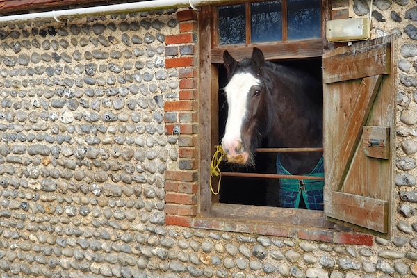 Stables are 40 meters from the Guest House, on the drive