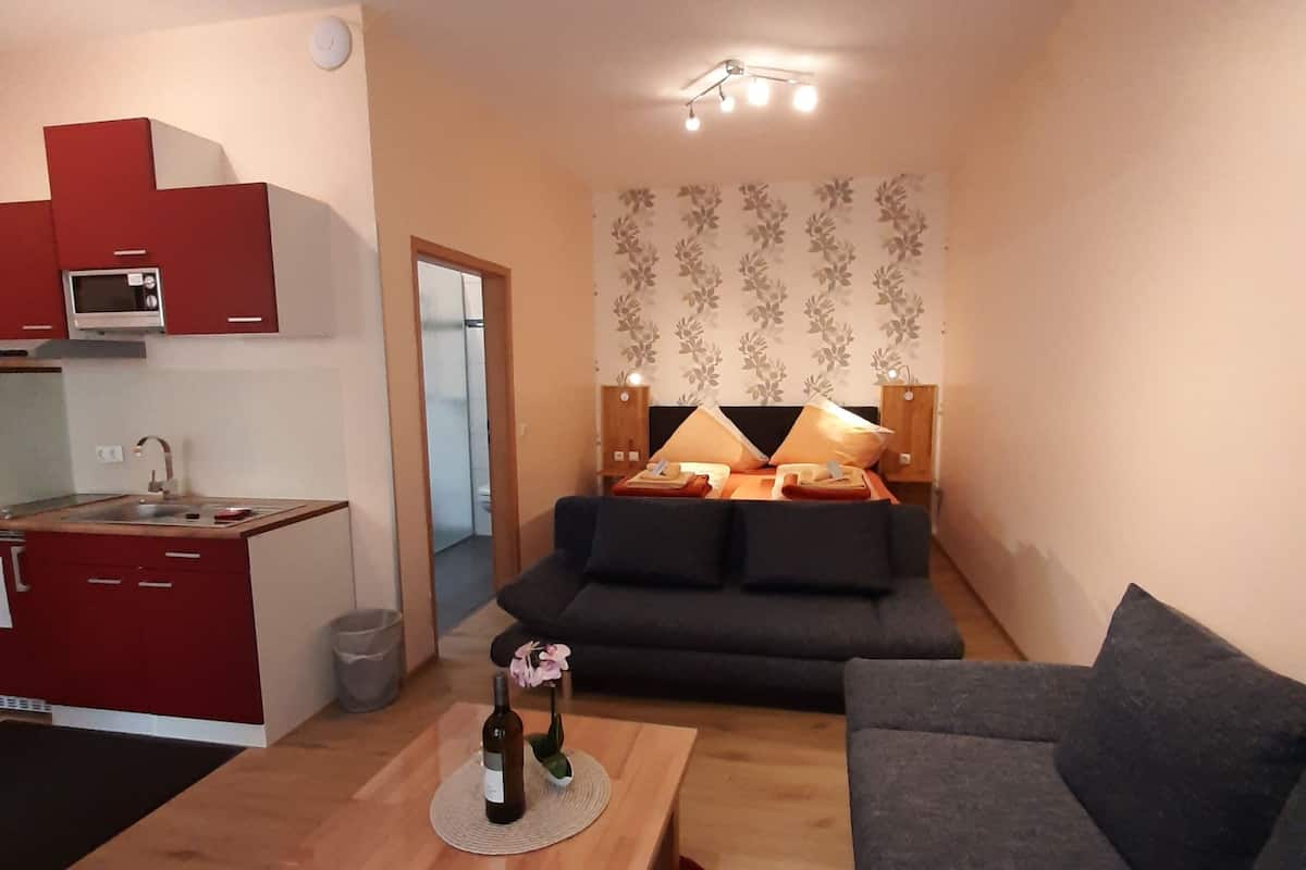 A compact living space with a kitchenette, a sofa, a coffee table, and a patterned wall.