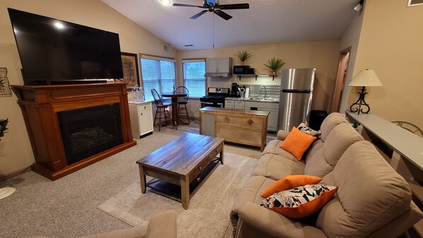 Smart TV, fireplace, books