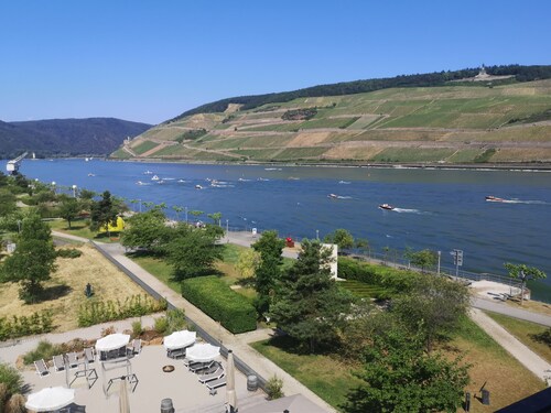 Fewo Peace-deluxe mit Blick auf das Malerische Rheintal und die Germania