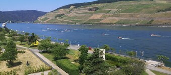 Fewo Peace-deluxe mit Blick auf das Malerische Rheintal und die Germania