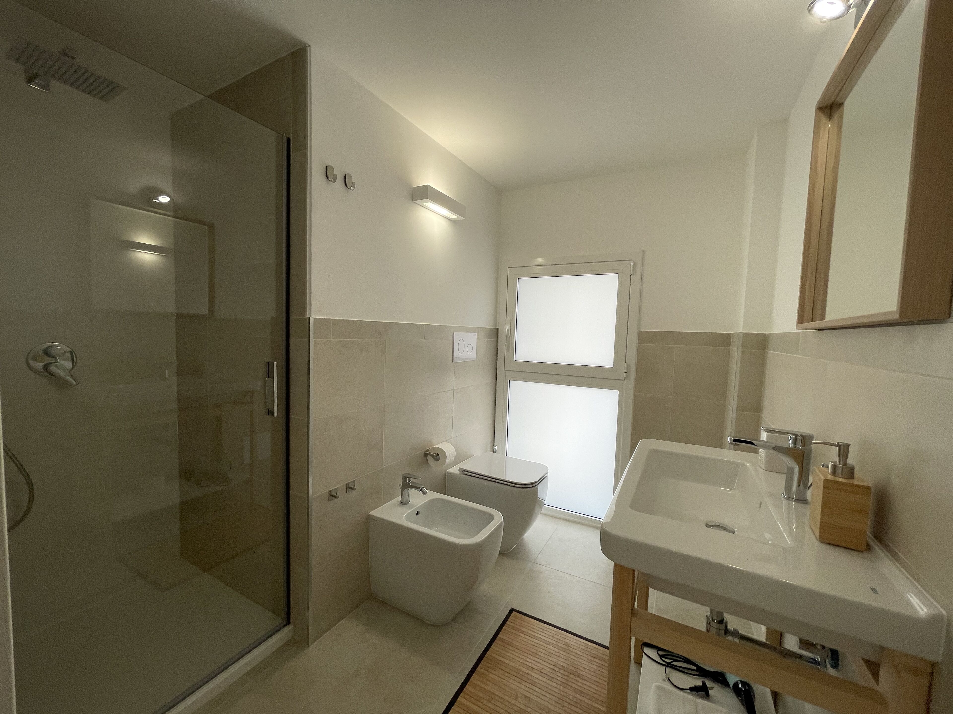 Shower, hair dryer, bidet, towels