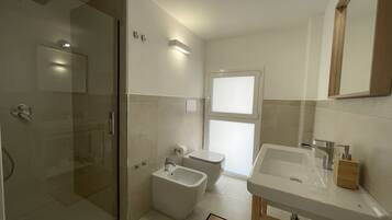 Shower, hair dryer, bidet, towels