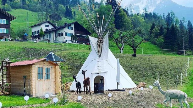 A white teepee with llamas in front, surrounded by houses and mountains. - Tepee at the Lama- & Alpakahof Triesenberg (Triesenberg)