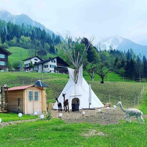 Een witte tipi met lama's ervoor, omringd door huizen en bergen.