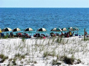 A beach with rows of beach chairs and umbrellas, a sandy foreground, and the ocean in the background.