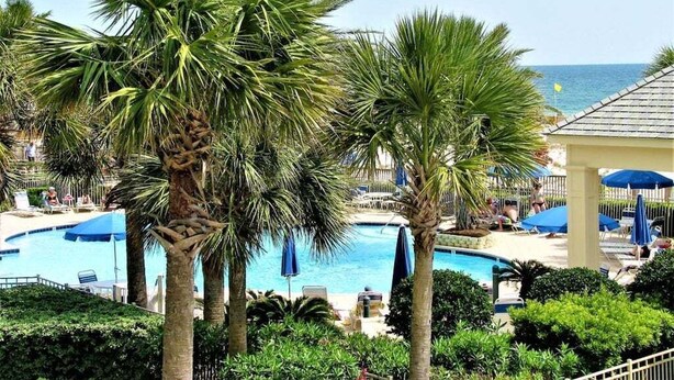 Zona de piscina con palmeras, sillas de descanso y sombrillas.