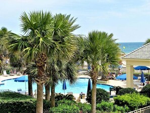 Un espace piscine agrémenté de palmiers, de chaises longues et de parasols.