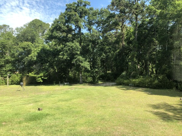 A grassy outdoor area with trees and a grill.