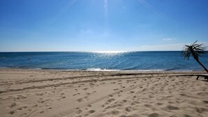 A beach with footprints in the sand, a palm tree, and a clear blue sky. - 1 bedroom awesome apartment in Le Barcarès (Le Barcarès)