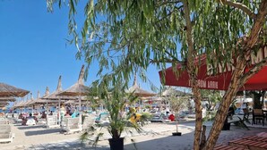 A beachside area with thatched umbrellas, lounge chairs, and a palm tree. - Roca del Mar (Navodari)