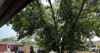 Dock Life Beach 1 - Cottage 5, Riverside Property, 2 Bdrm, 3 min walk to Beach 1