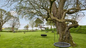 A large tree with a swing hanging from it, a grassy field, and a distant building.