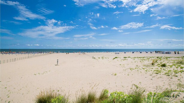 A wide sandy beach with a fence, a few people, and a clear blue sky.