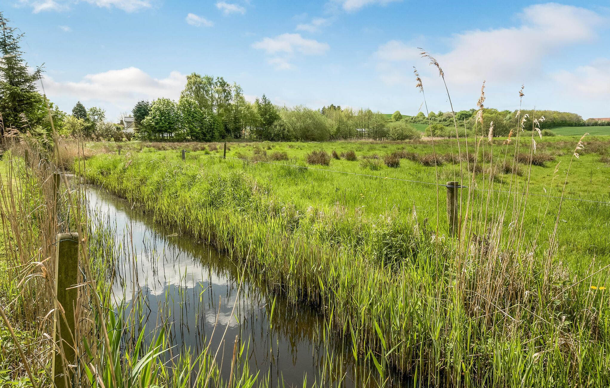 Een vredig rivierlandschap met weelderige begroeiing en een rustig waterlichaam.