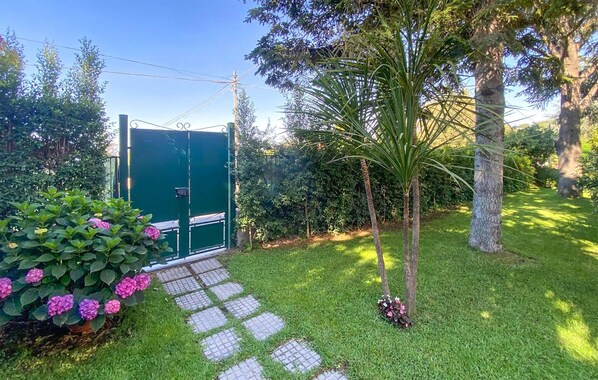 A green gate leading to a garden with a paved path, lush greenery, and a palm tree.