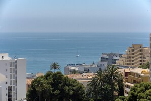 Beach/ocean view