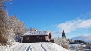 Una cabaña de madera con techo nevado, rodeada de árboles y un cielo despejado.
