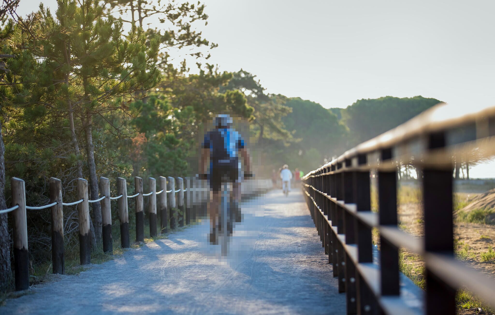 A pathway with a wooden railing, surrounded by trees and a clear sky.