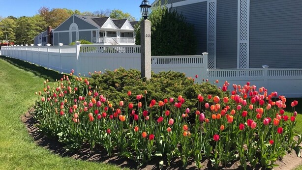 Un edificio residencial con fachada gris, cerca blanca y un jardín con tulipanes rosas y anaranjados.