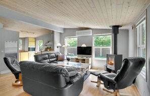 TV, peis og DVD-spiller