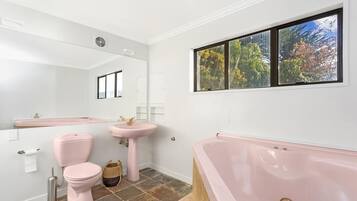 Ducha, secador de pelo, toallas